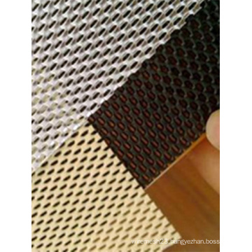 DVA Limited Vision Mesh for Security Doors